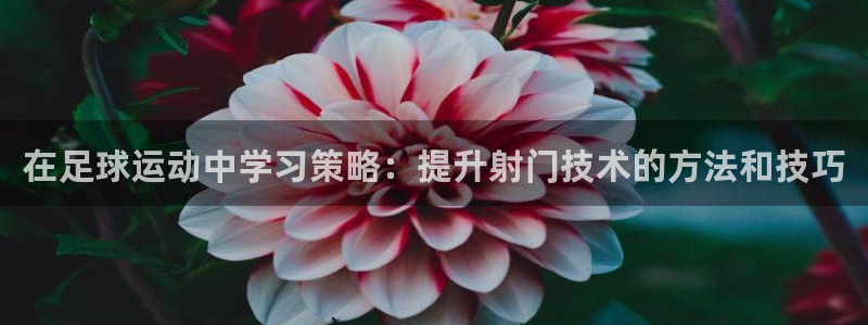 球速体育
