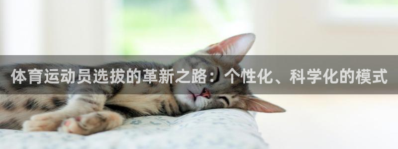 球速体育