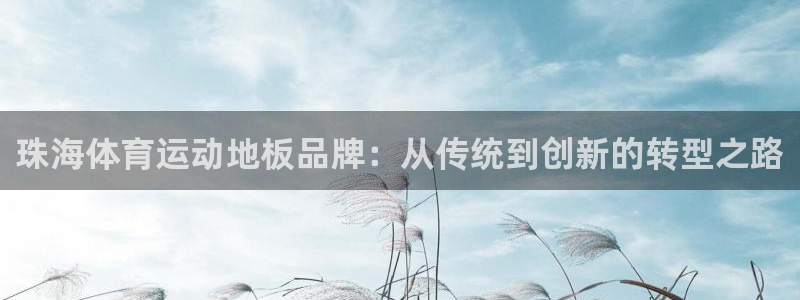 球速体育