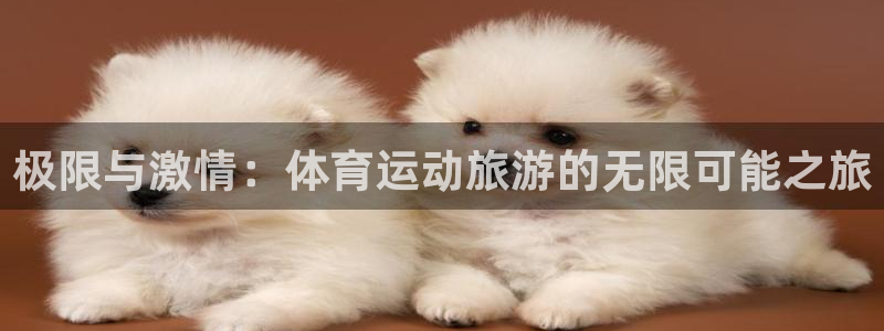 球速体育