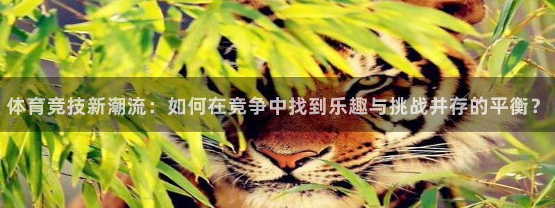 球速体育