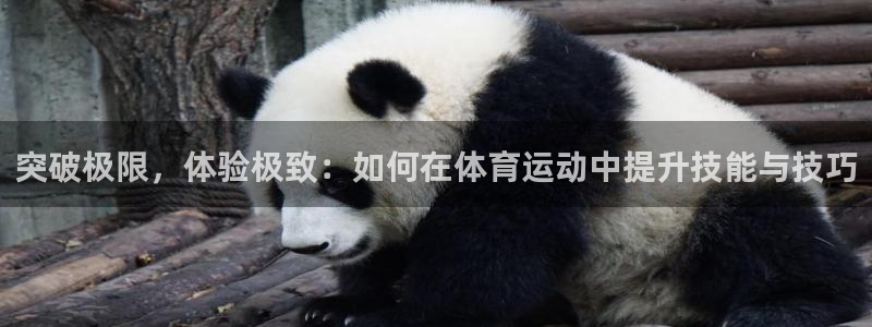 球速体育