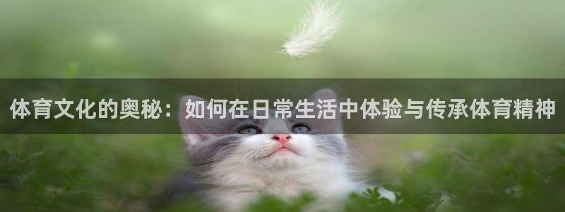 球速体育