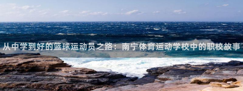 球速体育