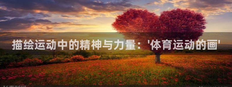 球速体育