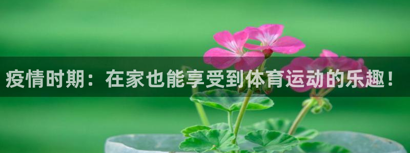 球速体育