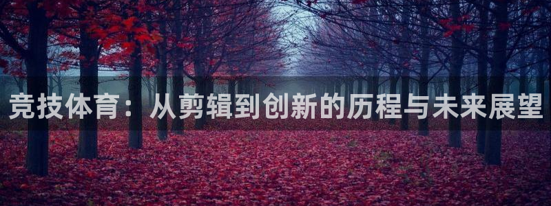 球速体育