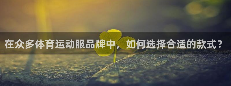 球速体育